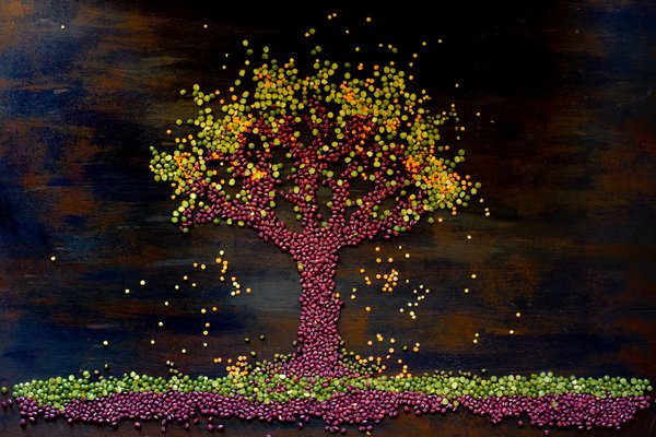 Comment créer un mur végétal intérieur ?