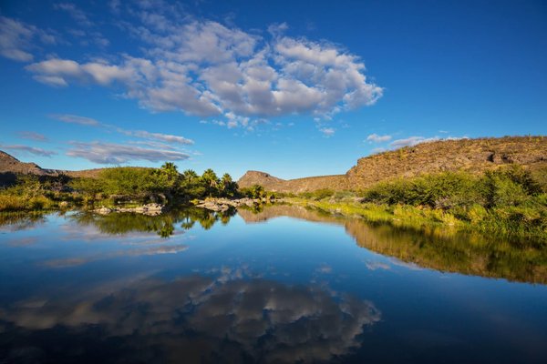 Créer un jardin paradisiaque autour de votre piscine