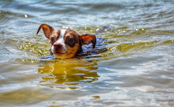 Guide de plantation pour les jardiniers débutants