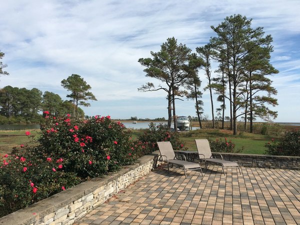 Décoration extérieur : comment adapter la végétation aux changements climatiques ?