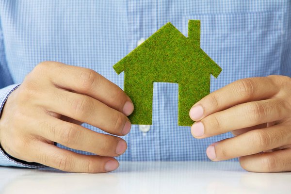 Maison écologique : comprendre les principes essentiels